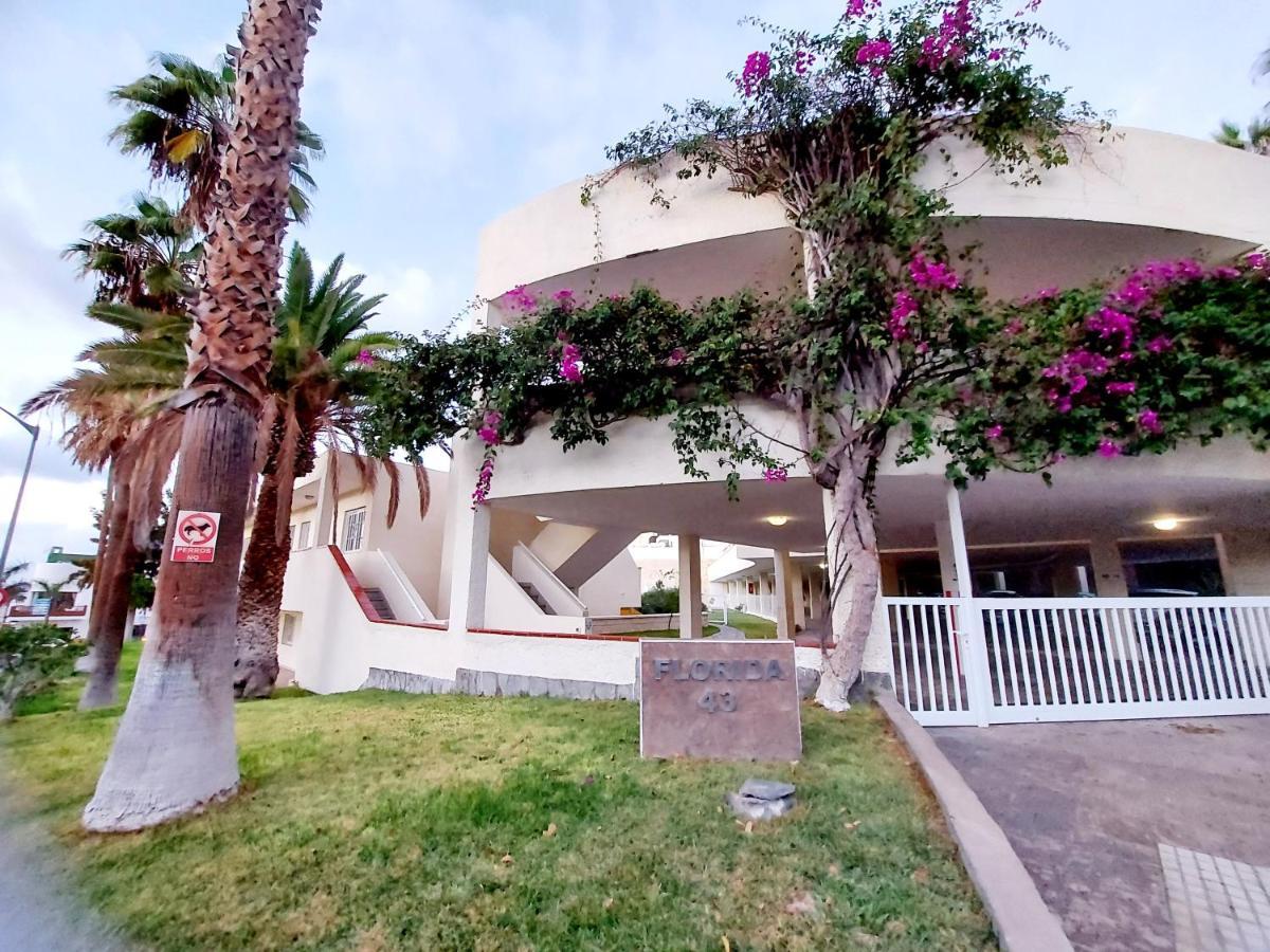 Los Gigantes Amazing Sea View Wifi Pool Parking Acantilado de los Gigantes Eksteriør billede